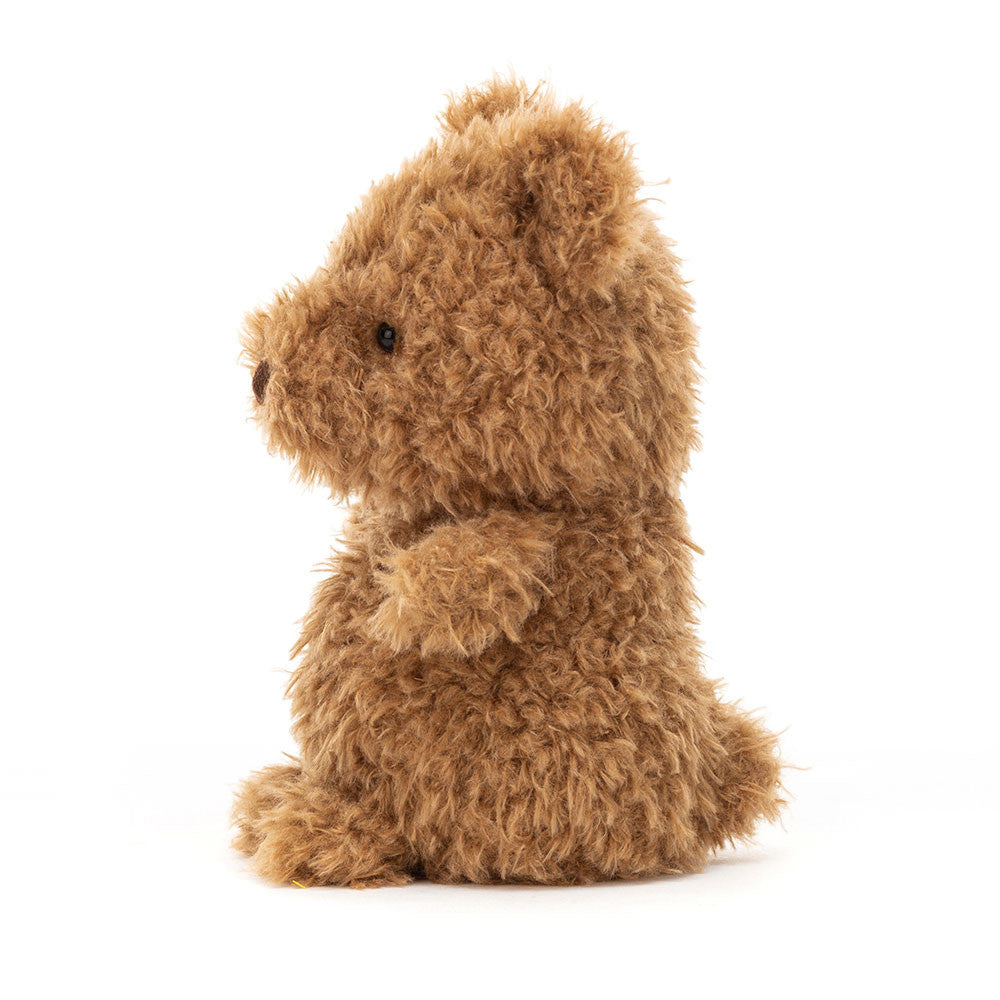 Petit Ours