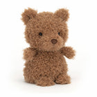 Petit Ours