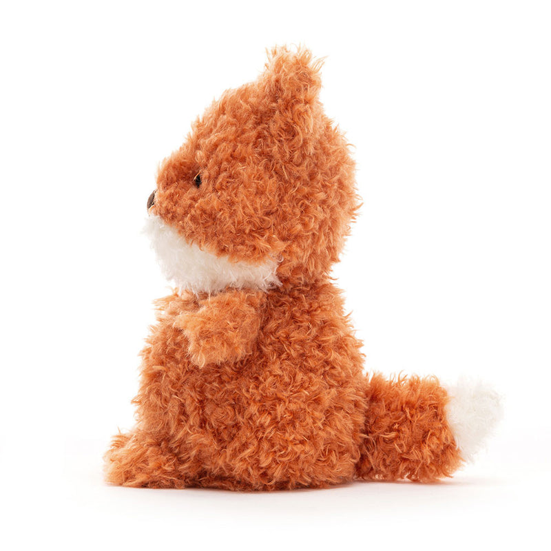 Petit renard
