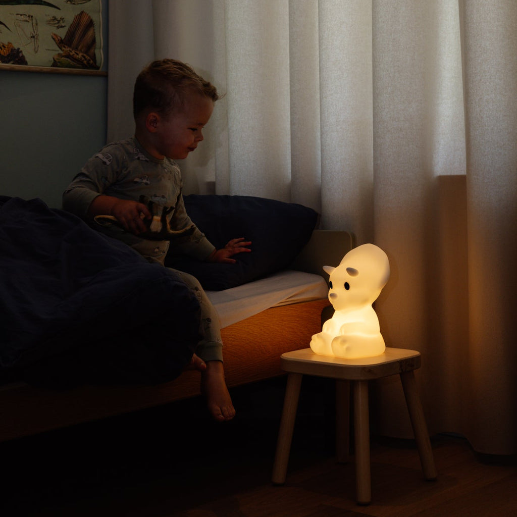 Lampje Dino Mira First Light lamp