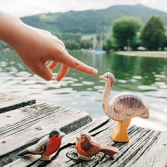 Houten Vogel - Roodborstje