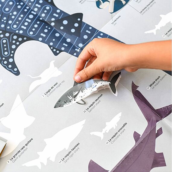 Educatieve Xxl Poster + 45 Stickers Sharks | 6-12 Jaar