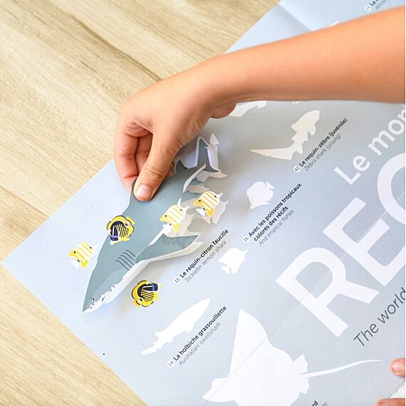 Educatieve Xxl Poster + 45 Stickers Sharks | 6-12 Jaar