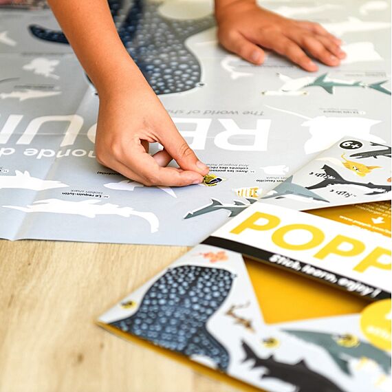 Educatieve Xxl Poster + 45 Stickers Sharks | 6-12 Jaar