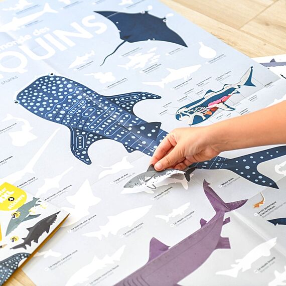 Educatieve Xxl Poster + 45 Stickers Sharks | 6-12 Jaar