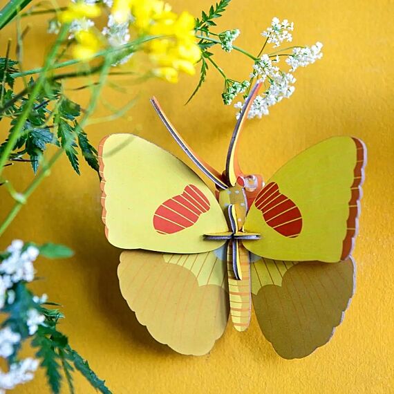 Yellow Butterfly