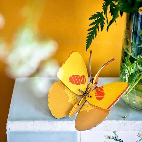 Yellow Butterfly