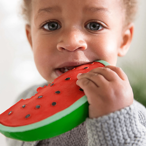 Rubberen Speeltje | Wally The Watermelon