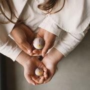 Advent Calendar 2025 Grapat Limited Edition - Adventskalenders Grapat - In den Olifant