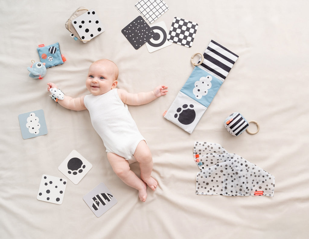 Baby Contrast Kaarten Deer Friends Colour mix - set van 10 - Activiteitenspeelgoed Done by Deer - In den Olifant