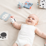 Baby Contrast Kaarten Deer Friends Colour mix - set van 10 - Activiteitenspeelgoed Done by Deer - In den Olifant