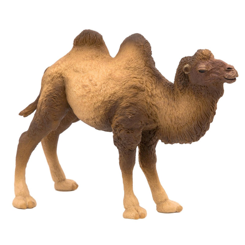 Bactrische Kameel - Speeldieren Papo - In den Olifant