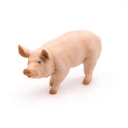 Beer Varken - Speelfiguren Papo - In den Olifant