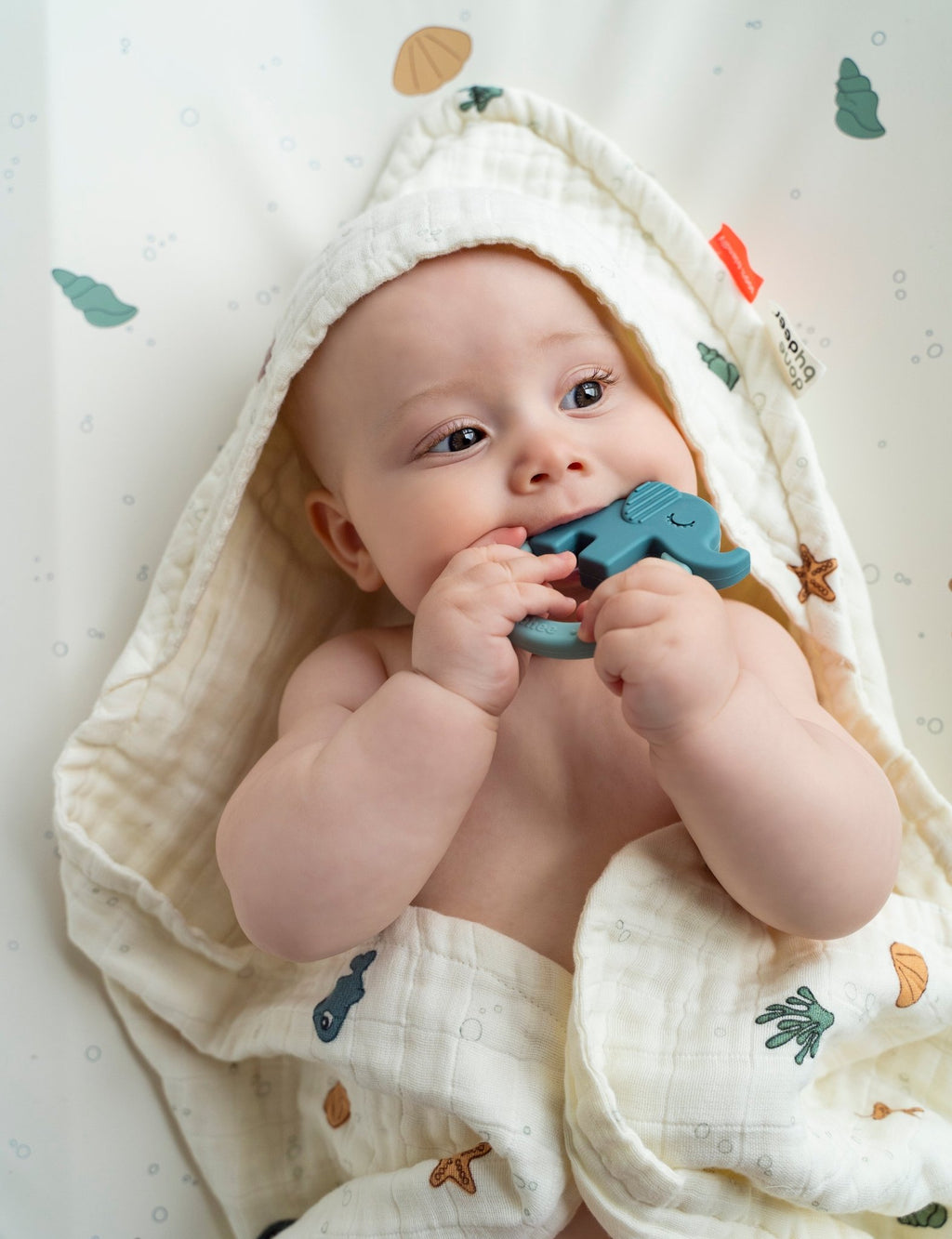 Bijtringen Deer friends Green/Blue - set van 2 - Bijtspeelgoed Done by Deer - In den Olifant