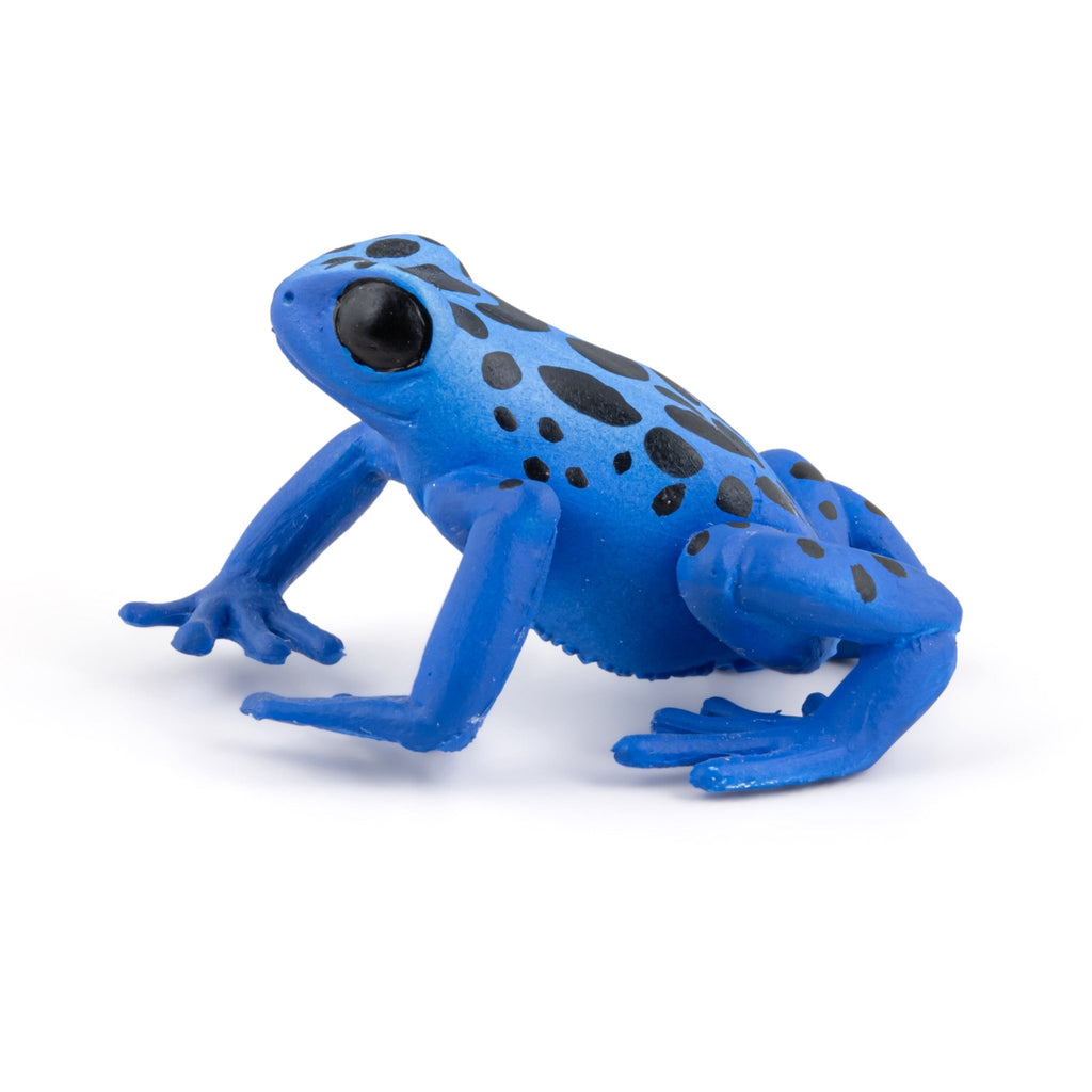 Blauwe Equatoriale Kikker - Speeldieren Papo - In den Olifant
