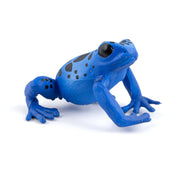 Blauwe Equatoriale Kikker - Speeldieren Papo - In den Olifant