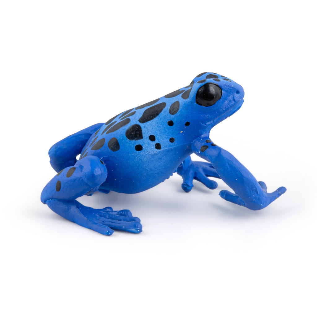 Blauwe Equatoriale Kikker - Speeldieren Papo - In den Olifant