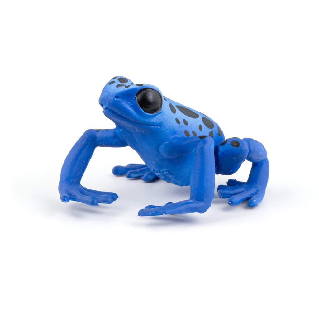 Blauwe Equatoriale Kikker - Speeldieren Papo - In den Olifant