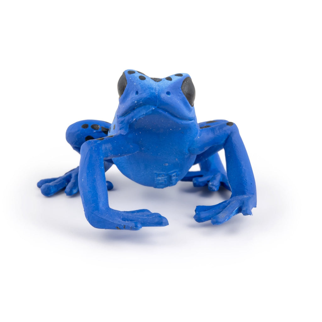 Blauwe Equatoriale Kikker - Speeldieren Papo - In den Olifant