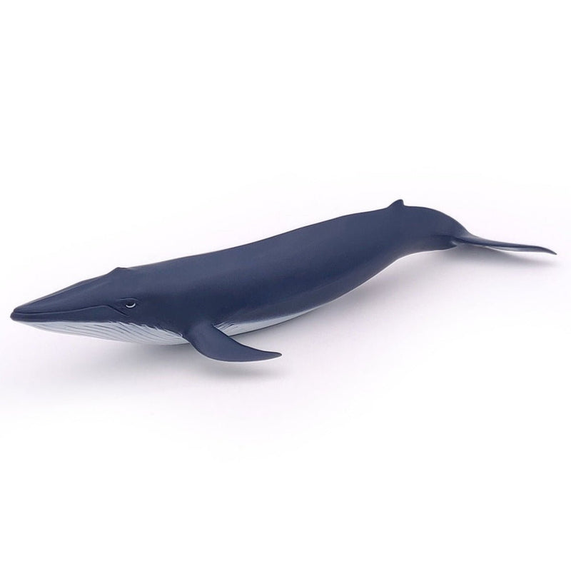 Blauwe Vinvis Kalf - Speeldieren Papo - In den Olifant