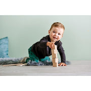 Blokkenset Bouwsteensysteem Clever - Up! 1.0 - set van 46 - Houten blokken Haba - In den Olifant