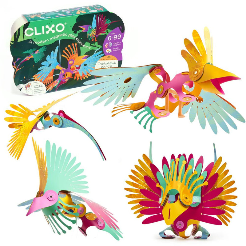 Bouwset met magneten Tropical Birds - 22 onderdelen - Magnetische bouwspeelgoed Clixo - In den Olifant