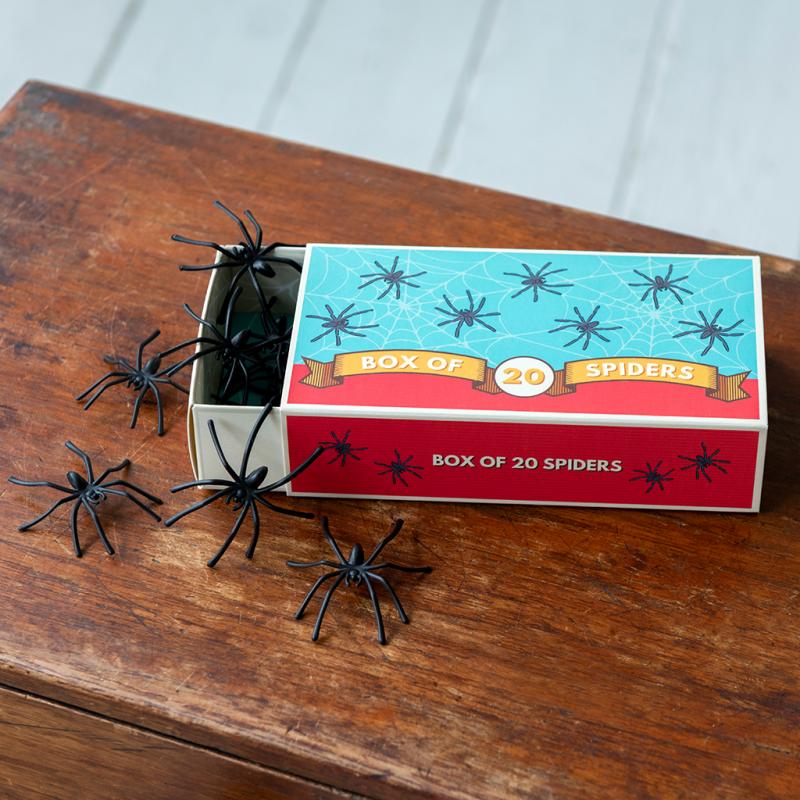 Box of 20 spiders - Speelfiguren REX London - In den Olifant