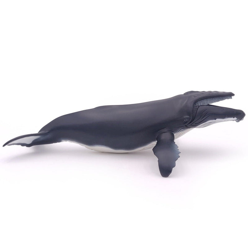 Bultrug Walvis - Speeldieren Papo - In den Olifant