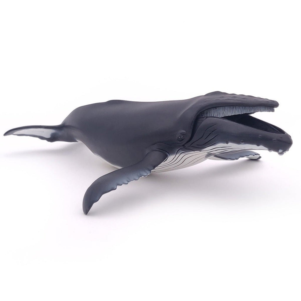 Bultrug Walvis - Speeldieren Papo - In den Olifant