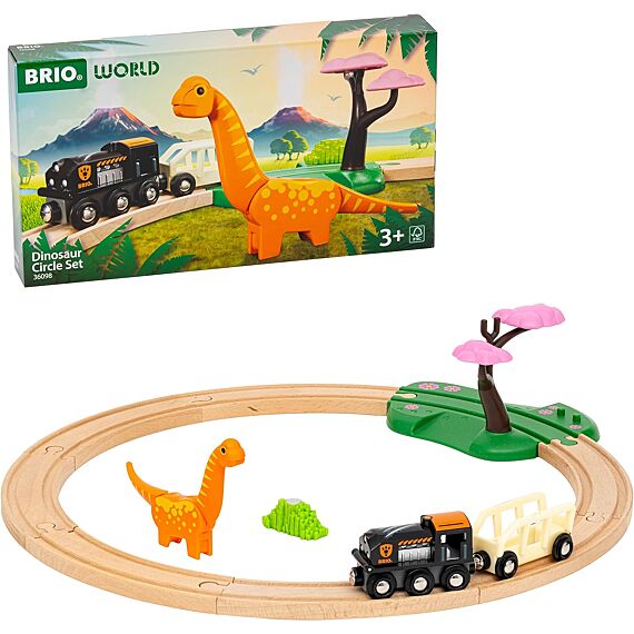 Dinosaur Circle Set