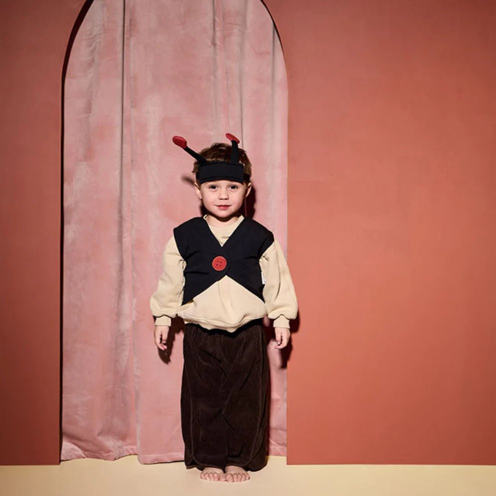 Dierenkostuums Ladybug DRESS - UP - Dierenkostuums Kid's Concept - In den Olifant