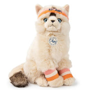 Dolly The Ragdoll - 32 cm - huisdieren Bon Ton Toys - In den Olifant