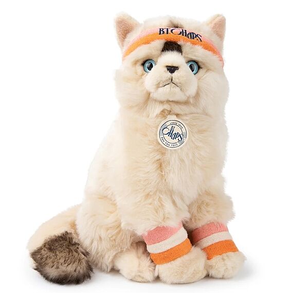 Dolly The Ragdoll - 32 cm - huisdieren Bon Ton Toys - In den Olifant