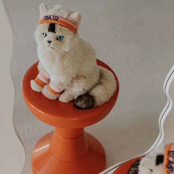 Dolly The Ragdoll - 32 cm - huisdieren Bon Ton Toys - In den Olifant