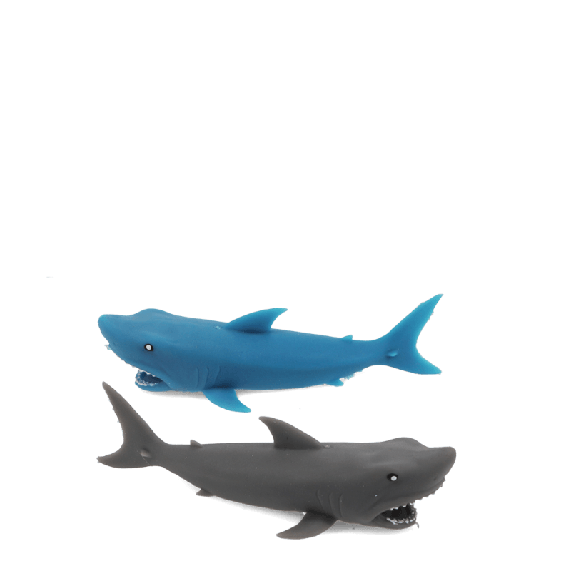 Doos met 2 katapult haaien - Flying Sark Carapults - Kleine cadeautjes REX London - In den Olifant