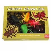 Doosje vol insecten Assorted Creepy Crawlies - set van 10 - Speelfiguren REX London - In den Olifant