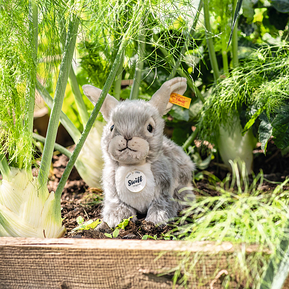 Knuffel Konijn Dormili Rabbit Knuffel Light Grey - 21 cm