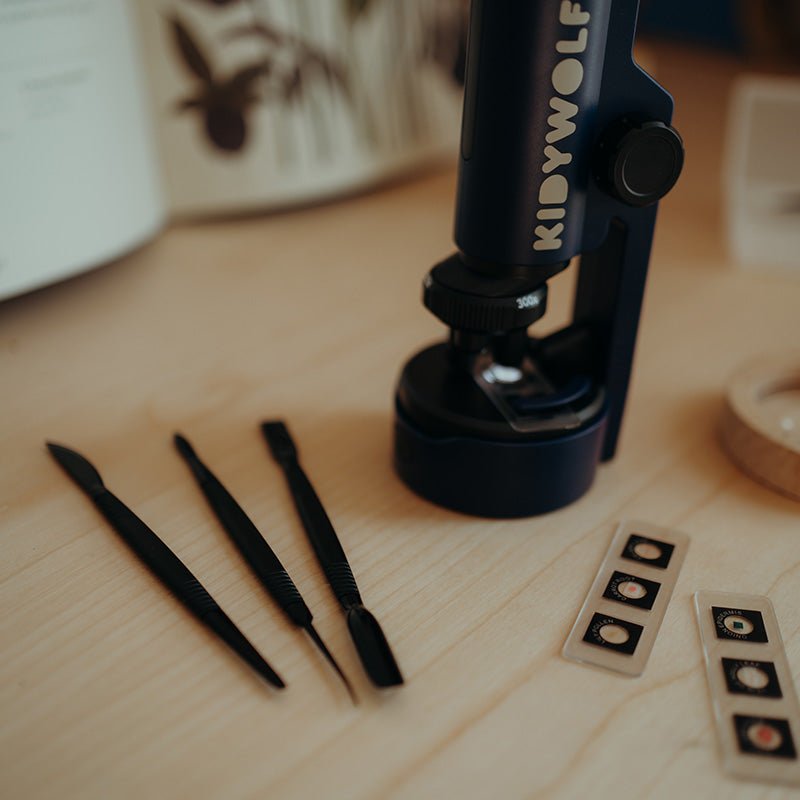 Draagbare microscoop blauw - Kidymicroscoop - STEM speelgoed Kidywolf - In den Olifant