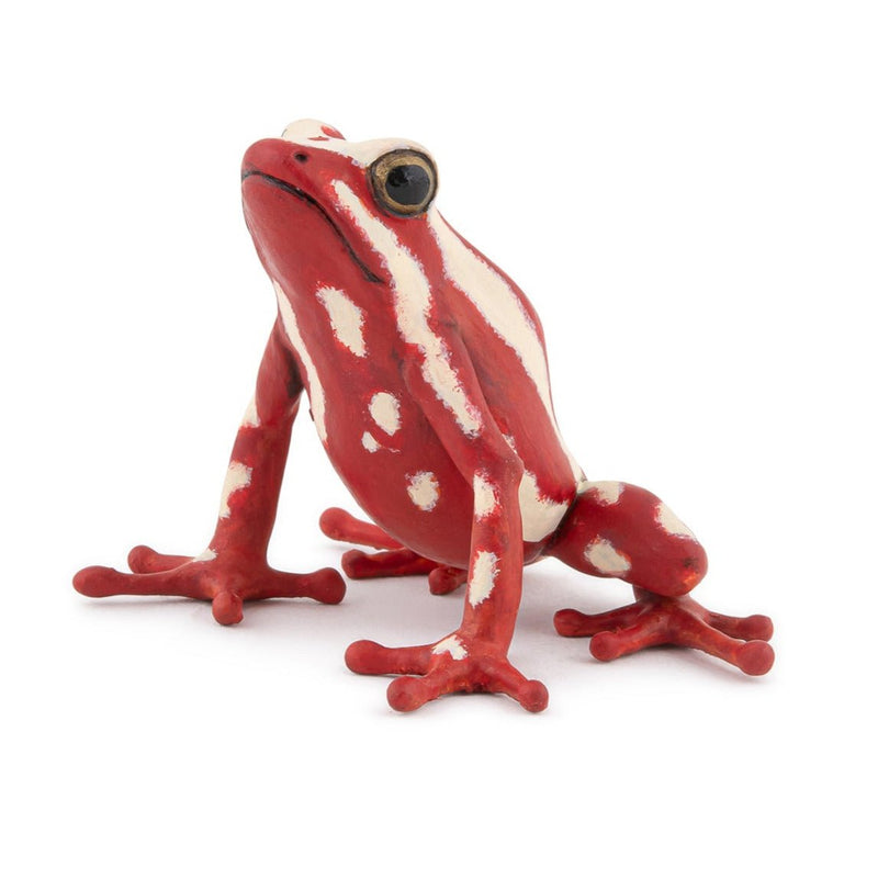 Driekleurige pijlkikker - Speeldieren Papo - In den Olifant