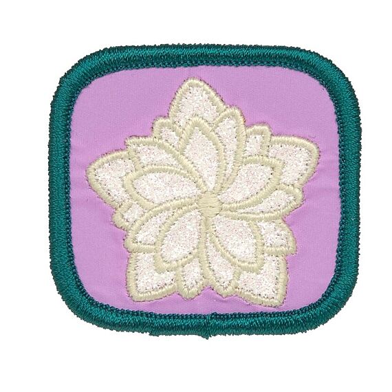 School Patches Set Dragonfly