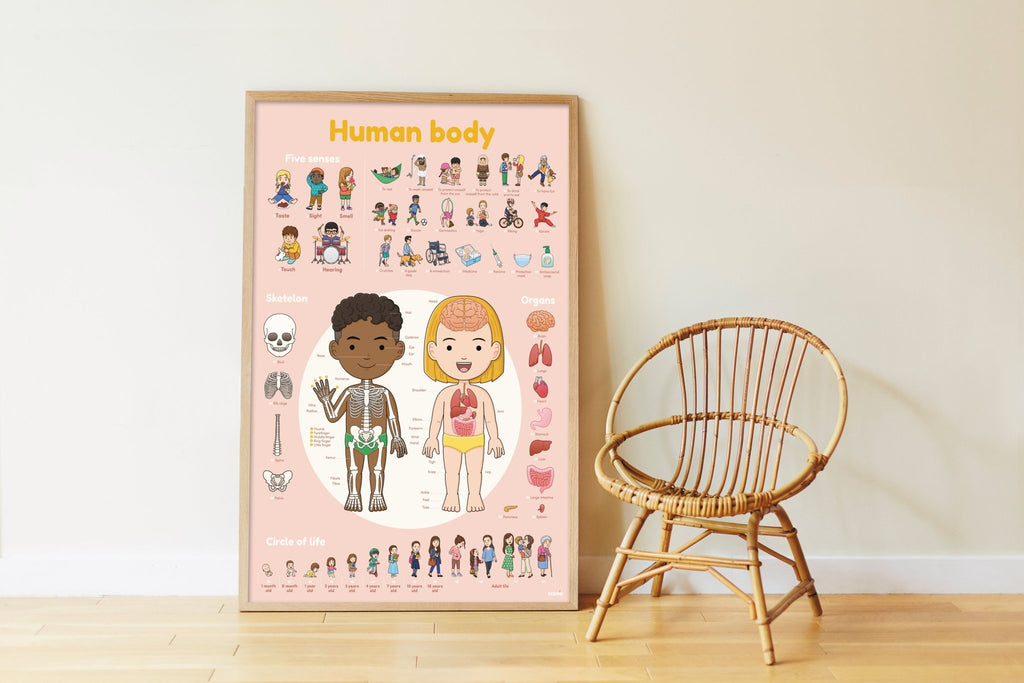 Educatieve XXL poster + 49 stickers Human Body - Stickers en stickersets Poppik - In den Olifant