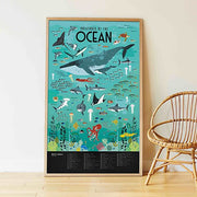 Educatieve Xxl Poster + 59 Stickers Oceans | 6 - 12 Jaar - Stickers en stickersets Poppik - In den Olifant