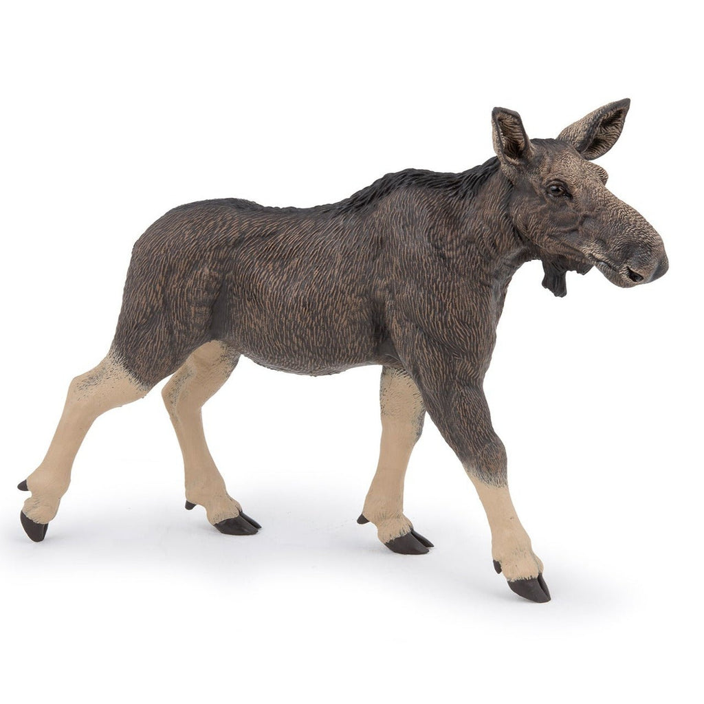 Eland vrouwtje - Wilde dieren Papo - In den Olifant