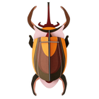 Elephant Beetle