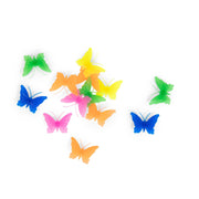 Fietskralen Vlinder - Aujourd'hui c'est mercredi - Fietsaccessoires Moulin Roty - In den Olifant