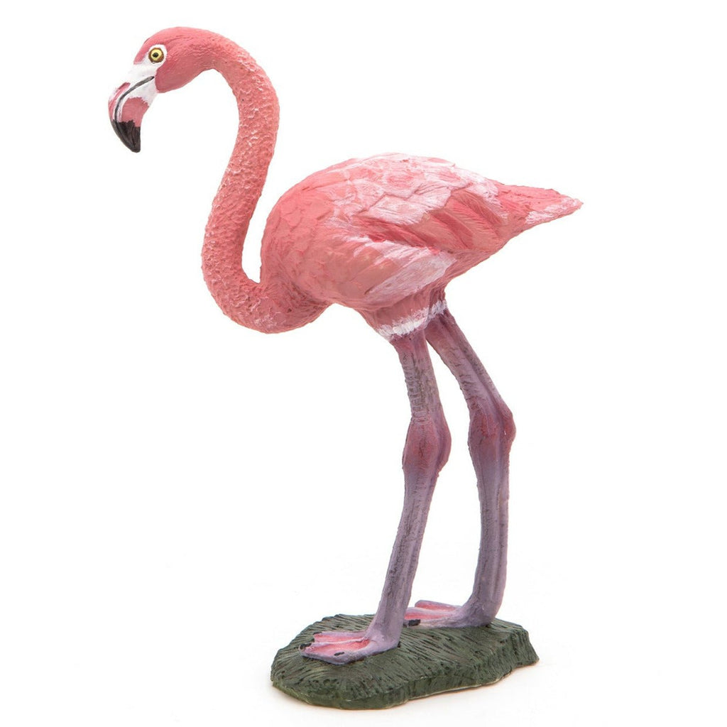 Flamingo - Speelfiguren Papo - In den Olifant
