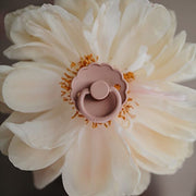 Frigg Daisy Fopspenen Latex Cream/Blush - Set Van 2 - Fopspeentjes Frigg - In den Olifant