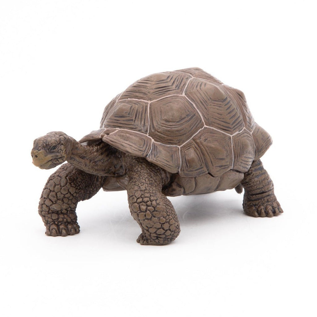 Galapagosschildpad - Speeldieren Papo - In den Olifant