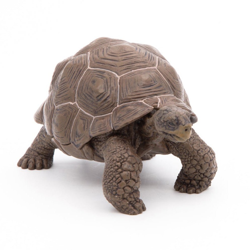 Galapagosschildpad - Speeldieren Papo - In den Olifant