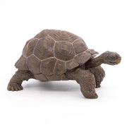 Galapagosschildpad - Speeldieren Papo - In den Olifant